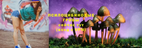 МДПВ Арсеньев